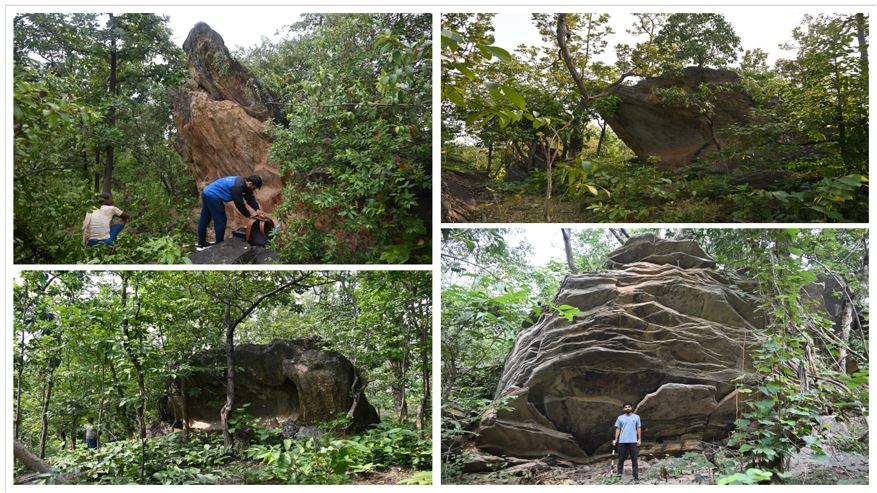 Nature and composition of the Painted Rock Shelters in Jamui and Nawada district of Bihar, India