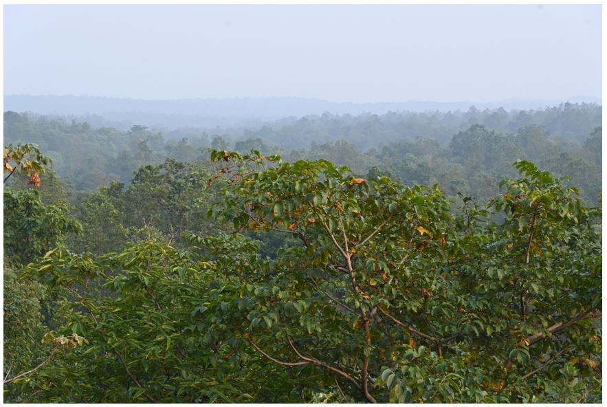 The Landscape of the Jamui Hill Range, Bihar, India